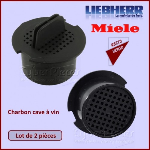 Filtre charbon wf090 - charbon, cave